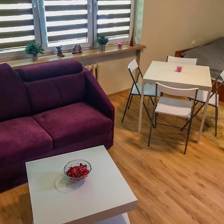 Cosy Studio In Quiet Location Puławy 외부 사진