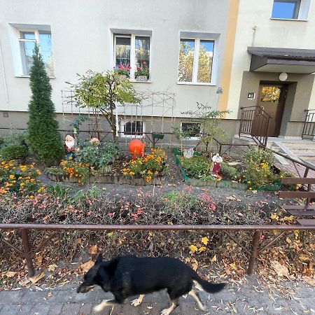 Cosy Studio In Quiet Location Puławy 외부 사진